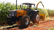 Imagem Para aumentar produção de etanol de milho, Brasil precisa investir R$ 12 bi até 2030