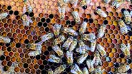 Boba Jaglicic/Unsplash