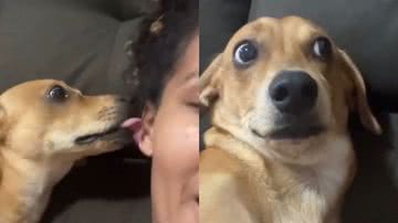 Reprodução/TikTok @fatimarruda40