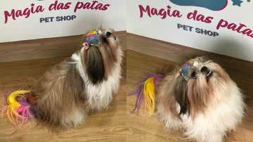 Arquivo Pessoal