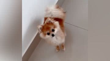 Reprodução/TikTok @carlarodriguesnkt