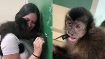 Reprodução/TikTok