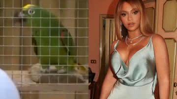 Reprodução/Youtube/Instagram @dailymail @beyonce