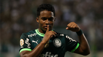 Cesar Greco/Palmeiras