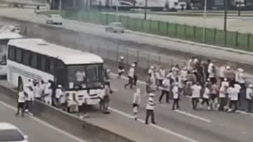 Reprodução