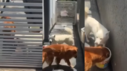 Reprodução / Instagram
