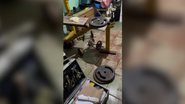 Divulgação/Polícia Civil do Rio Grande do Sul