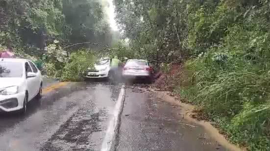 Reprodução/Bnews