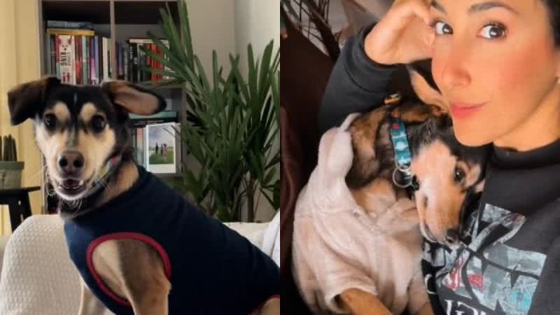 Reprodução//TikTok @2dogsemeio