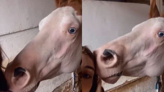 Reprodução// TikTok @ridingbia