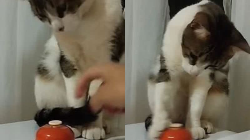 Reprodução// TikTok @elizacardss