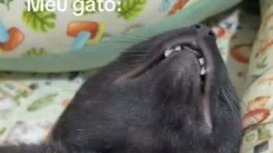 Reprodução//TikTok @quelrrr