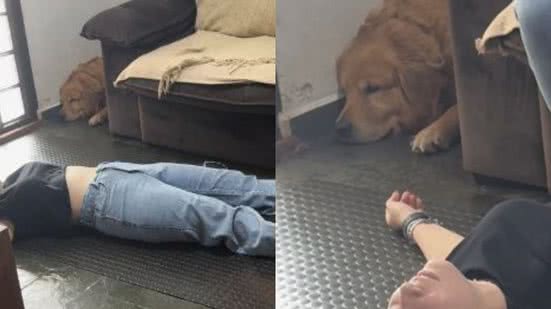 Reprodução// TikTok @sansaoogolden