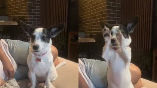Reprodução// TikTok @giuliiacortez