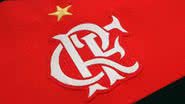 Reprodução/Flamengo