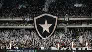 Vitor Silva | Botafogo FR
