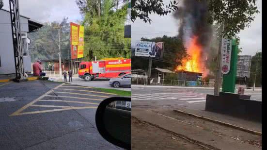 Reprodução