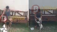 Montagem BNews
