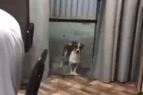 Reprodução/ Vídeo