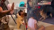 Reprodução / Twitter @Lilblackbabies
