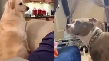 Reprodução / TikTok