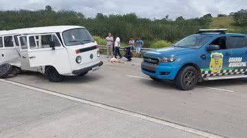 Divulgação