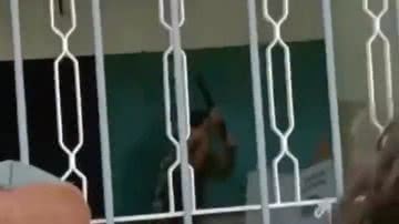 Reprodução/TV