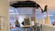 Reprodução / Vídeo
