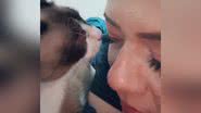 Reprodução/TikTok @afabyfalcao