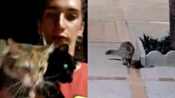 Reprodução/TikTok @vennusmaa