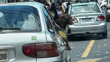 Leitor BNews