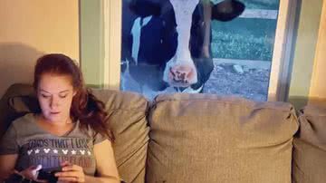 Reprodução/Facebook/ Life With Pigs Farm Animal Sanctuary