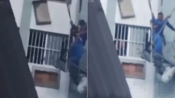 Divulgação