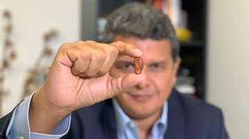 Divulgação