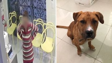 Reprodução