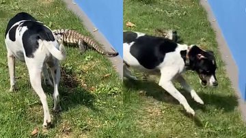 Reprodução/TikTok @ju_nap