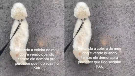 Reprodução / Redes Sociais