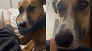 Reprodução// TikTok @drii_lou