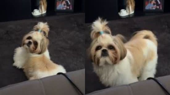 Reprodução// TikTok @thainanmartinss