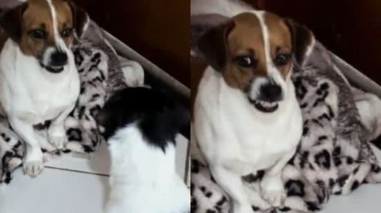 Reprodução/TikTok @itsvitoriaaaaa1