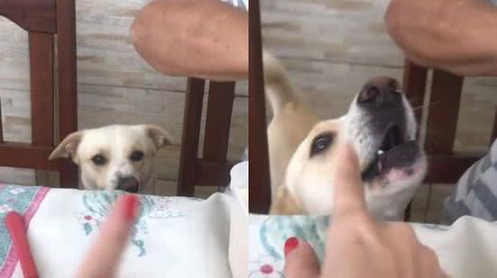 Reprodução/TikTok @vivibahiaa
