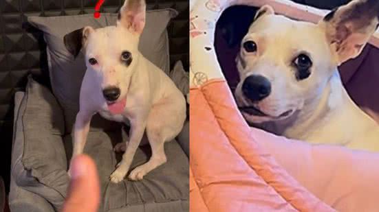 Reprodução/TikTok @agea_santos