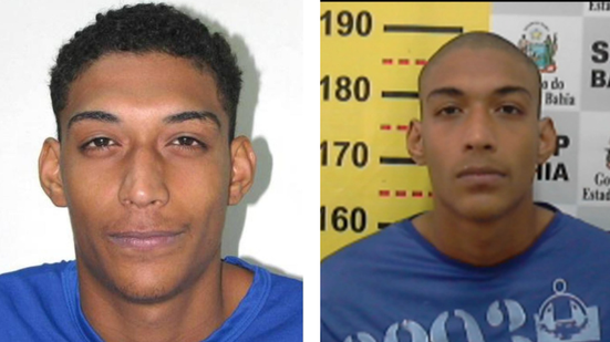 Divulgação