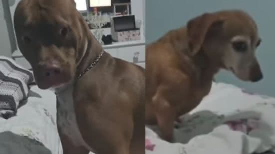 Reprodução / Instagram