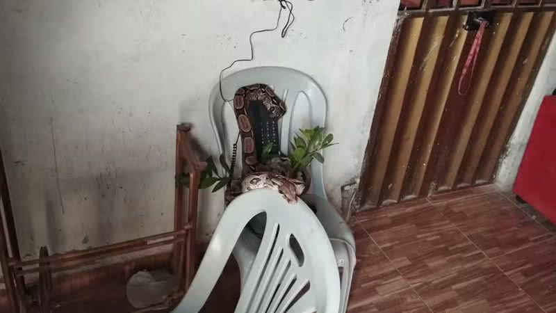 Divulgação PM/CE