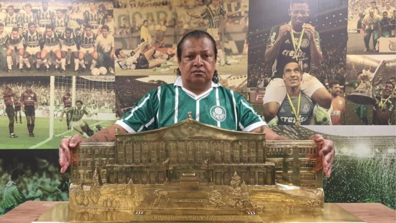 Cesar Greco/Palmeiras