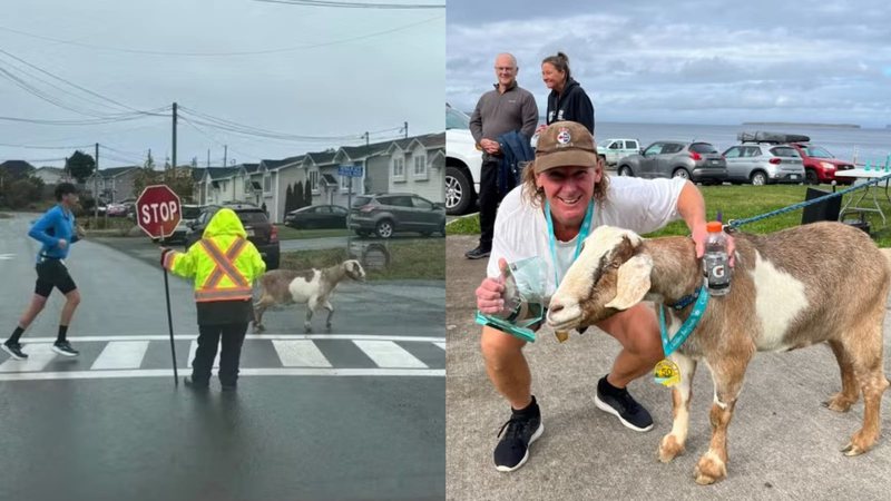 Reprodução/Facebook/Town of Conception Bay South