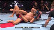 Reprodução/UFC