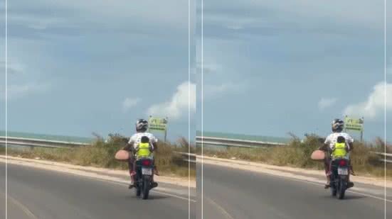 Reprodução/ Vídeo