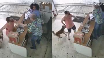 Reprodução/Vídeo